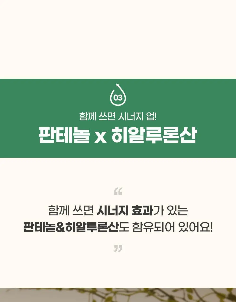 [설랩]아토 808 떼르말 버블 힙 클렌저 외 베이비 바디/스킨케어 모음전 상세페이지 47